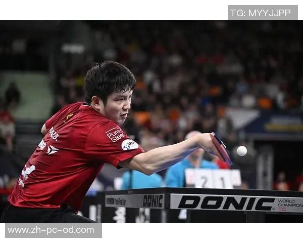 樊振东畅谈德国德甲之行体验感受欧洲乒乓文化的独特魅力与宁静